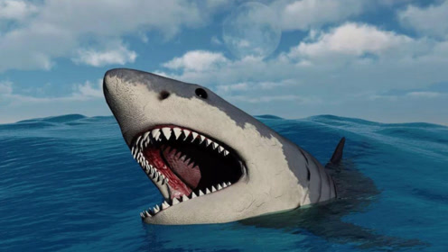 史前巨齿鲨是真实存在的吗?