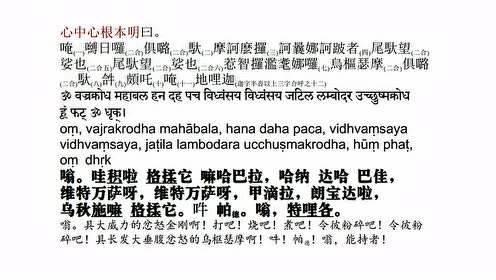 梵音咒语大威力乌枢涩摩秽迹金刚明王经诸咒阿米达南达