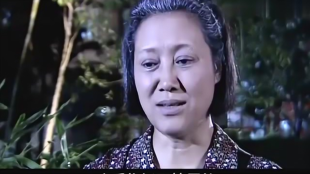 1080p蓝光画质 三倍流畅播放 4k超清体验  01:26   婆家娘家:老头老太