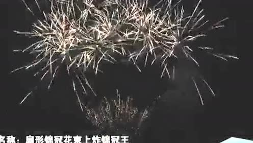 108发锦冠王 腾讯视频