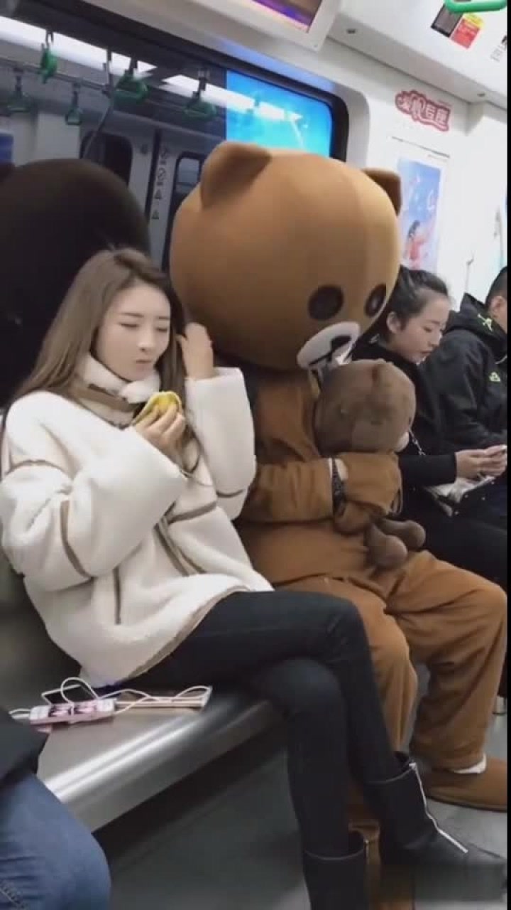 网红熊地铁上撩小姐姐,结局真是太搞笑啦