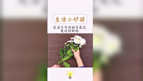 腾讯视频