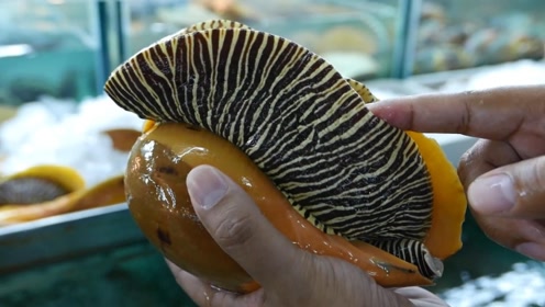 斑马纹海蜗牛,爆炒着吃,感觉失去了鲜味,想生吃试试