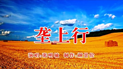 刘紫玲垄上行景美歌美好听好看