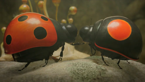 二星瓢虫救了一只七星瓢虫一命,还产生了感情,一部动画电影!