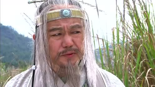 阿九来到松林,舞剑刻下一个"情"字,不料袁承志也在这里!