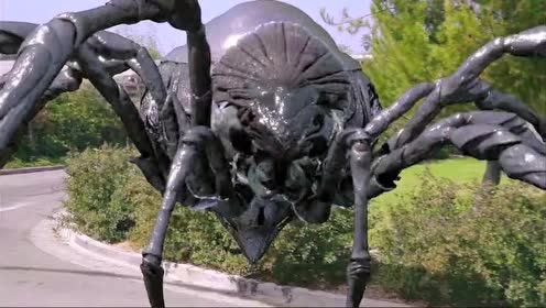 巨型毒蜘蛛 恶魔图片