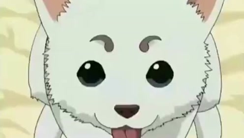 定春银魂