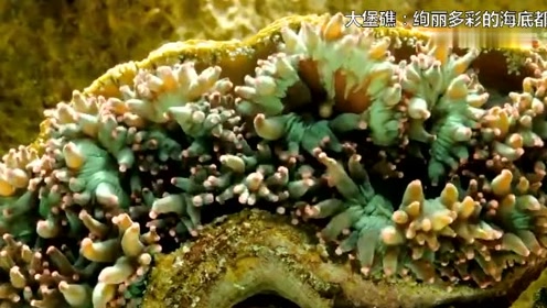 腾讯视频