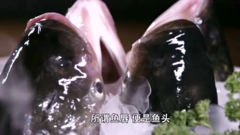 鱼唇汤 腾讯视频