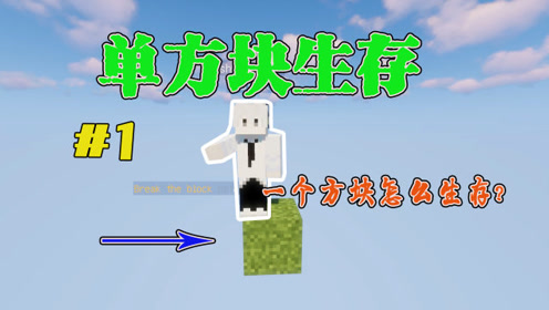 我的世界单方块生存 腾讯视频