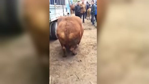 腾讯视频