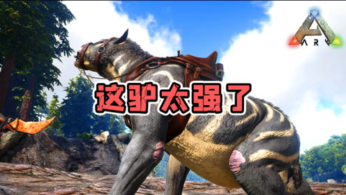 腾讯视频
