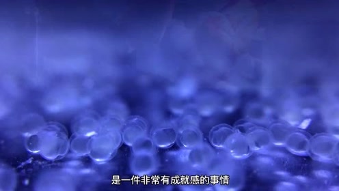 腾讯视频