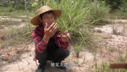 石松千恵美 腾讯视频