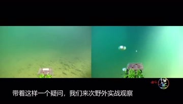 降温鱼就跑深水区了？深浅分别打窝看一下！