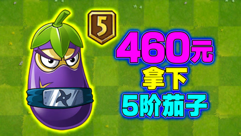 [图]PVZ2：庄先森跪搓衣板！庄嫂大吼：什么茄子460？