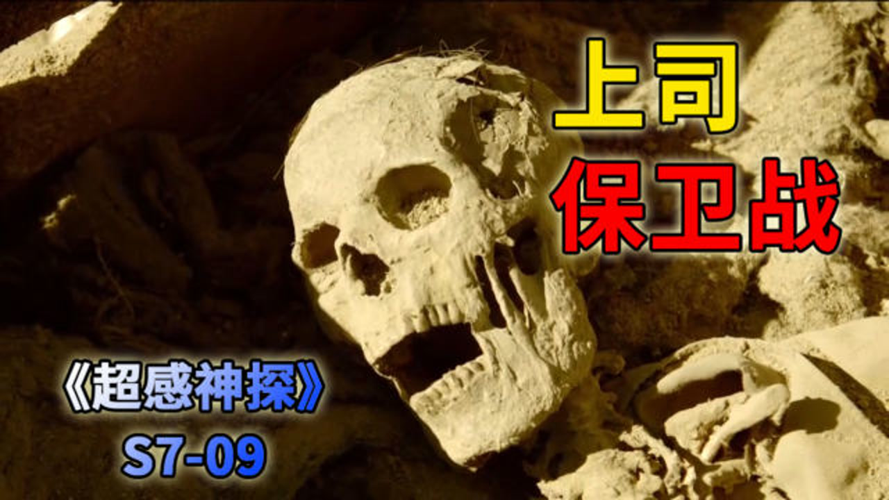 黑卤蛋下线?想扳倒馒头叔上司也不先掂量下自己《超感神探》