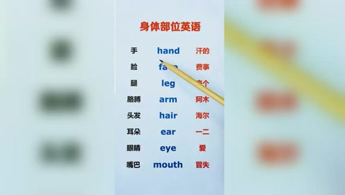 身体部位英语 腾讯视频