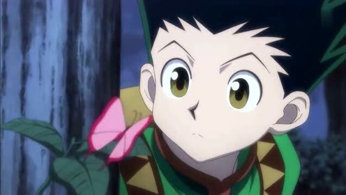 全职猎人tv 腾讯视频