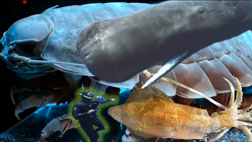 深海乌贼 腾讯视频