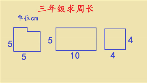 [图]三年级数学求周长，这4道题期末经常考，一定要学会