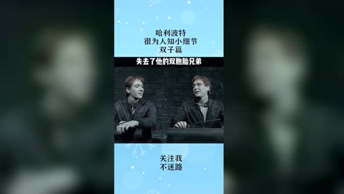 韦斯莱双子 腾讯视频