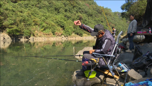 《游钓中国7》第4集 福建寿宁秘境溪流寻觅圆吻鲴鱼