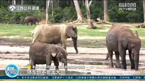 国际自然保护联盟 腾讯视频