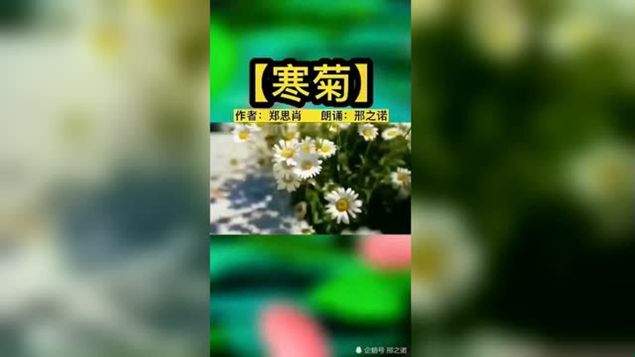 题画菊 南宋诗人郑思肖创作的诗作 搜狗百科