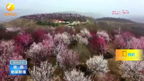 [图]【春天里的陕西】春明草绿花吐蕊 天朗气清万物兴