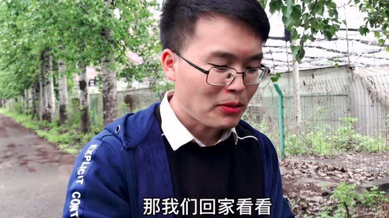 杨树叶(杨柳科杨属植物)_搜狗百科
