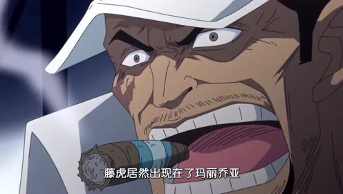 海贼王 海军大将藤虎是个新兵 连赤犬也管不了他 腾讯om视频 腾讯网