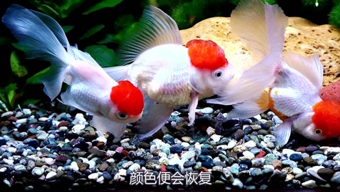 腾讯视频