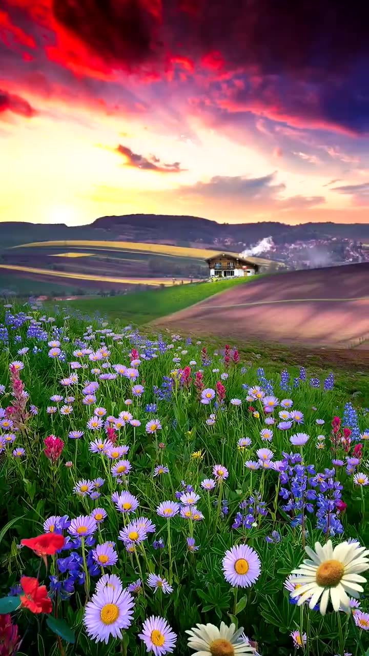 苛求,只要你迈步,路就在你的脚下延伸,只要你启程,就会发现诱人的风景