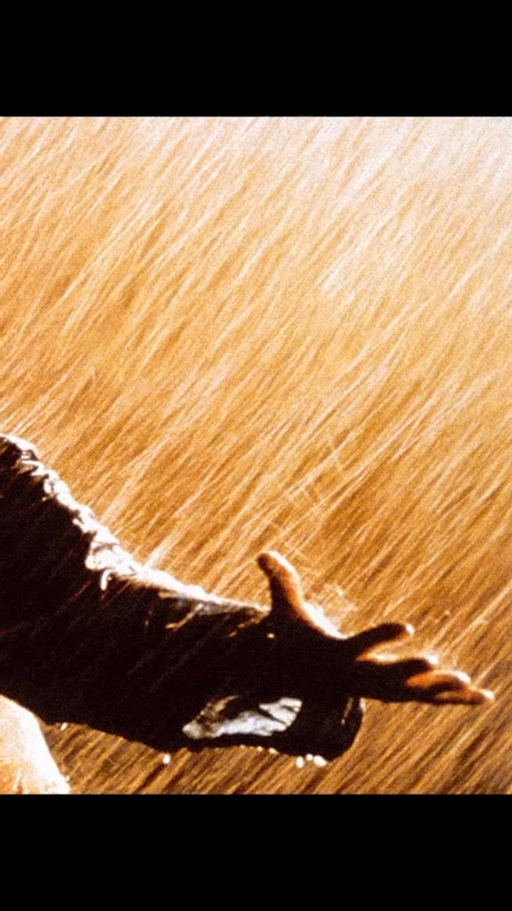 希望也许是最美好的东西#经典电影  #肖申克的救赎  #名著改编