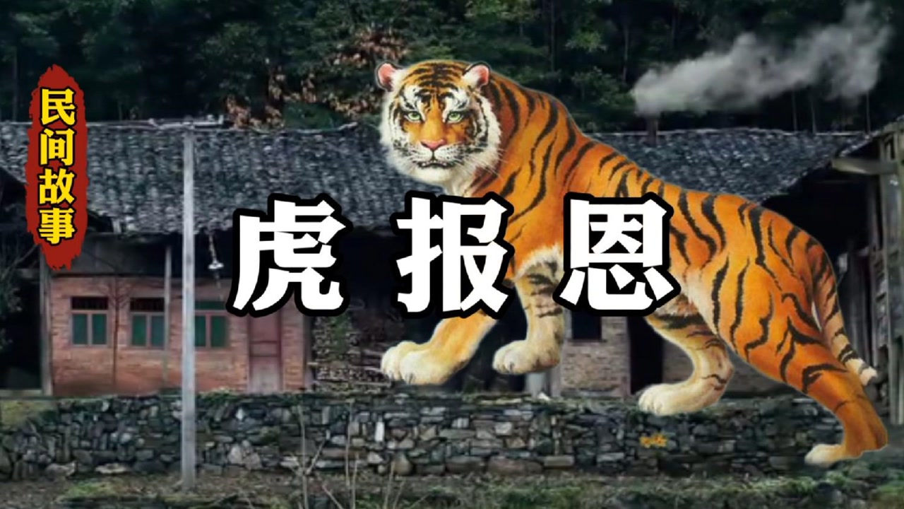 民间故事《老虎报恩》