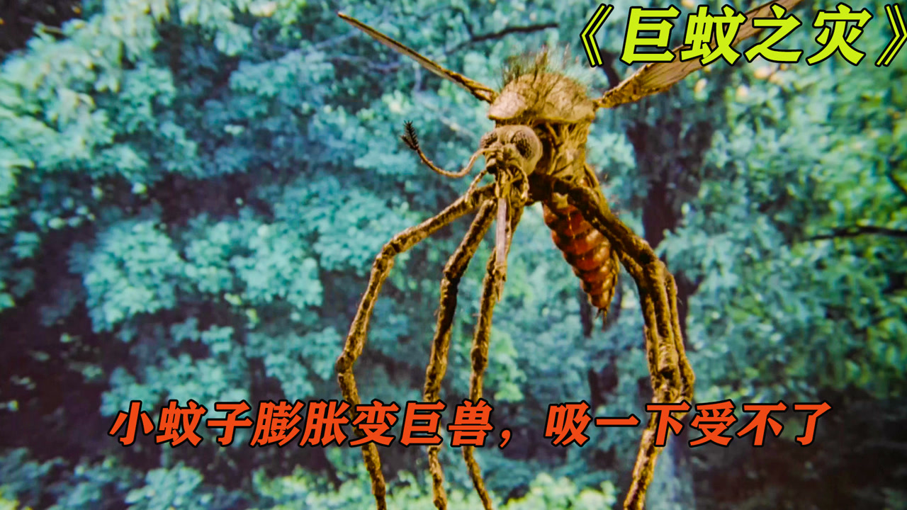 巨蚊之灾:小蚊子吸食外星人,变异成数米高巨蚊,被吸一口就凉凉