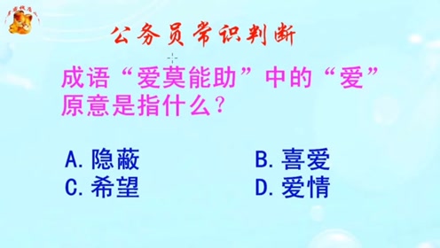 成语爱慕什么_爱慕者是什么意思(2)
