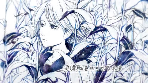 三浦綺音 腾讯视频
