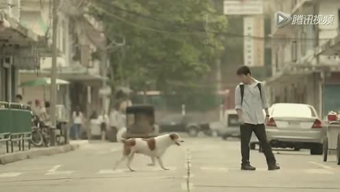 Heartwarming Thai Commercial
