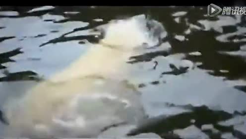 遭狂甩溺死 腾讯视频