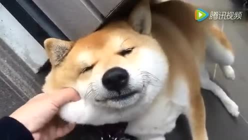 腾讯视频