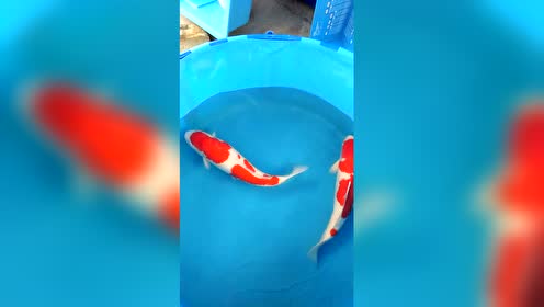 腾讯视频