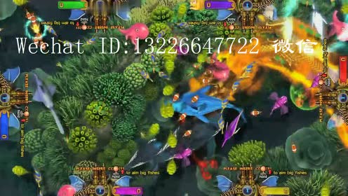 King Of The Couch Zoovival 腾讯视频