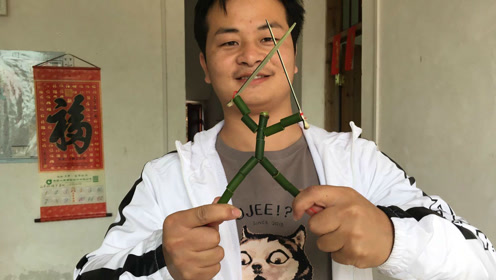 小竹正人 腾讯视频
