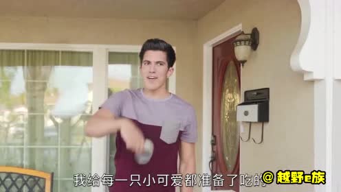 一只妄想统治全世界的中二喵 最终却却败给一顿饭