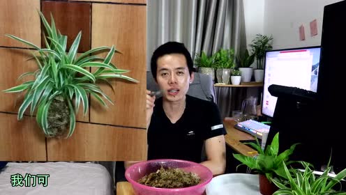 腾讯视频