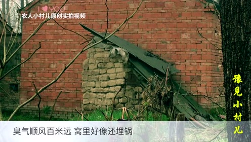 农村这样的厕所有多少人上过?实拍河南正阳农村厕所,你敢用吗?