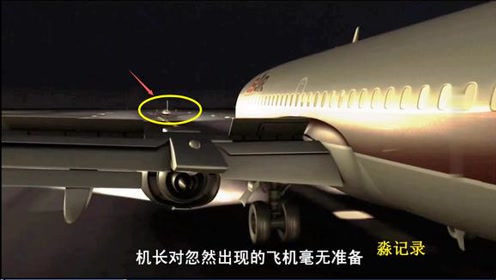 【空难cg模拟及解析】全美航空1493号航班跑道降落撞机事故